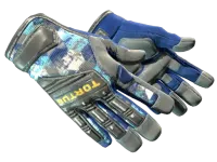 ★ Specialist Gloves | Mogul (Factory New)
