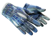 ★ Sport Gloves | Amphibious (Battle-Scarred)