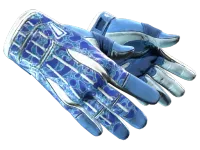 ★ Sport Gloves | Amphibious (Factory New)
