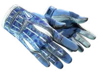 ★ Sport Gloves | Amphibious (Well-Worn)