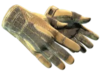★ Sport Gloves | Arid (Field-Tested)