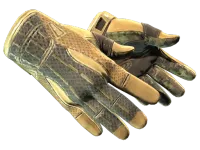 ★ Sport Gloves | Arid (Minimal Wear)