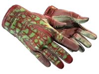 ★ Sport Gloves | Bronze Morph (Well-Worn)