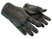 ★ Sport Gloves | Nocts (Factory New) skin
