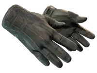 ★ Sport Gloves | Nocts (Well-Worn)