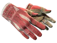 ★ Sport Gloves | Slingshot (Factory New)