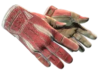 ★ Sport Gloves | Slingshot (Well-Worn)