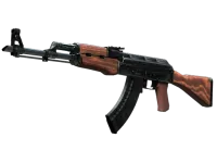 StatTrak™ AK-47 | Kartel (lekkie zużycie) skin