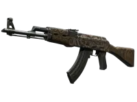 StatTrak™ AK-47 | Terra ignota (Bastante desgastado) skin