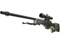 StatTrak™ AWP | Worm God (Field-Tested)