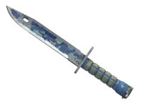 ★ StatTrak™ Bayonet | Bright Water (Battle-Scarred)