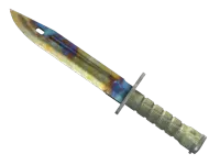 ★ StatTrak™ Bayonet | Case Hardened (Battle-Scarred)