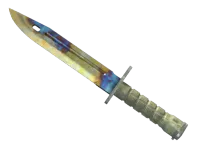 StatTrak™ Bagnet (★) | Stal nawęglana (mocne zużycie) skin
