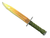 StatTrak™ 刺刀（★） | 传说 (略有磨损) skin