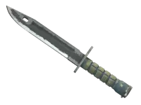 StatTrak™ Bayonet ★ | Night (Gasto) skin