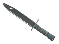 StatTrak™ Bagnet (★) | Noc (po testach bojowych) skin