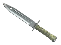 ★ StatTrak™ Bayonet