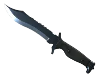 StatTrak™ Nóż Bowie (★) | Niebieska stal (lekkie zużycie) skin