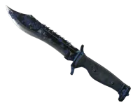StatTrak™ 鲍伊猎刀(★) | 澄澈之水 (战痕累累) skin