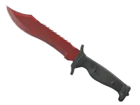 ★ StatTrak™ Bowie Knife | Crimson Web (Field-Tested)