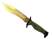 StatTrak™ Cuchillo Bowie ★ | Tradicional (Algo desgastado) skin