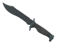 ★ StatTrak™ Bowie Knife | Night (Well-Worn) skin