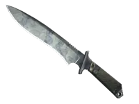★ StatTrak™ Classic Knife | Stained (Field-Tested) skin