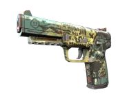 StatTrak™ Five-SeveN | Scrawl (Well-Worn)