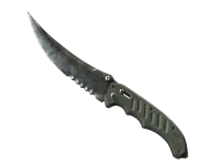 ★ StatTrak™ Flip Knife | Stained (Battle-Scarred) skin