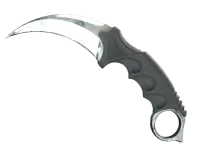 StatTrak™ Karambit (★) | Śniedź (po testach bojowych) skin