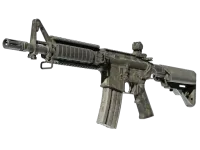 StatTrak™ M4A4 | Faded Zebra (Battle-Scarred)