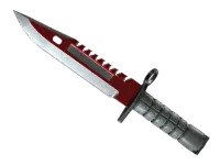 ★ StatTrak™ M9 Bayonet | Autotronic (Minimal Wear) skin