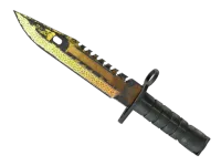 StatTrak™ ★ Штык-нож M9 | Легенды (Закалённое в боях) skin