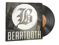 StatTrak™ Music Kit | Beartooth, Disgusting