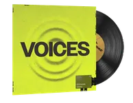 StatTrak™ Music Kit | ShockOne, Voices