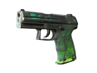 StatTrak™ P2000 | Pulso (Deplorable) skin