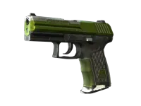 StatTrak™ P2000 | Turf (Battle-Scarred) skin