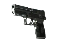 StatTrak™ P250 | Cartel (Field-Tested)
