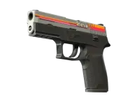 StatTrak™ P250 | Cassette (Minimal Wear)