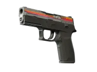 StatTrak™ P250 | Cassette (Well-Worn)