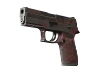 StatTrak™ P250 | Contaminant (Battle-Scarred)
