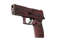 StatTrak™ P250 | Contaminant (Minimal Wear)