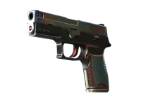 StatTrak™ P250 | Cyber Shell (Minimal Wear)