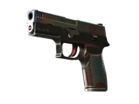 StatTrak™ P250 | Cyber Shell (Well-Worn)