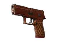 StatTrak™ P250 | Rój (lekkie zużycie) skin
