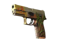 StatTrak™ P250 | Inferno (prosto z fabryki) skin