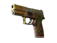 StatTrak™ P250 | Inferno (Well-Worn) skin