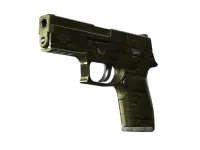 StatTrak™ P250 | Żelazne okucie (po ciężkich walkach) skin