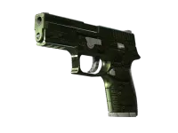 StatTrak™ P250 | Żelazne okucie (lekkie zużycie) skin