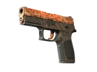 StatTrak™ P250 | Mehndi (Well-Worn)